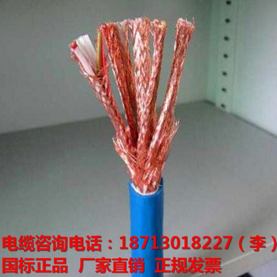 ZRC-DJYP3VP3－22-19×2×1.5計(jì)算機(jī)儀表電纜國(guó)標(biāo)正品