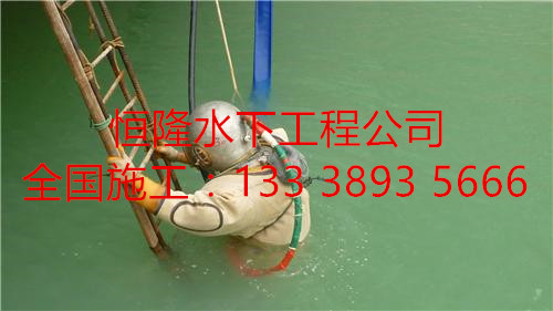 鳳凰潛水員閘門槽水下檢測水下檢查、蛙人施工隊