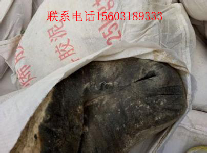黔南州塑料膠泥廠商歡迎來(lái)電