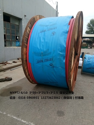 涼山 變頻電纜BPYJVP  BPYJVP12R