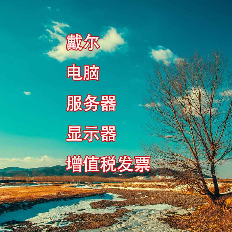 青山綠水高品質(zhì)直銷(xiāo)商用電腦DELL戴爾