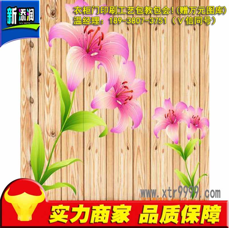 衣柜門(mén)3D噴繪機(jī)多少錢(qián)