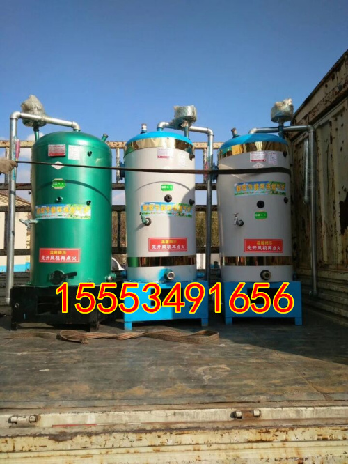 河北邢臺市饅頭房液化氣鍋爐 家用燃煤鍋爐 燃?xì)鉄崴仩t
