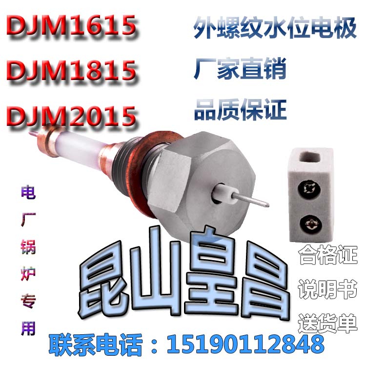 鍋爐汽包水位電極M16×1.5×97mm甘孜縣