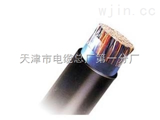商丘KVVRP22軟芯電纜生產(chǎn)車(chē)間