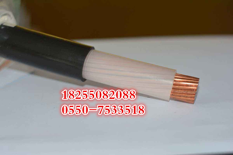 供應(yīng)WDZ-KYJ-125,WDZ-KYJ-150【電纜（安徽天康集團）】-安徽天康