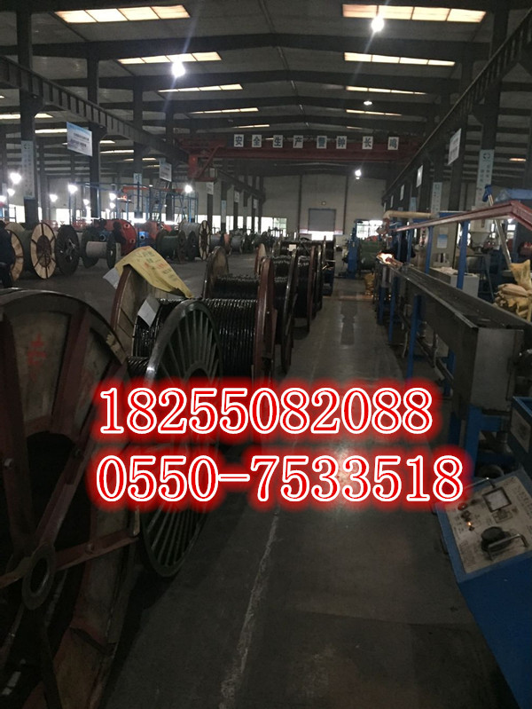 商機(jī)供應(yīng)KGGRP 44*0.5  44*0.75硅橡膠電纜-安徽天康集團(tuán)