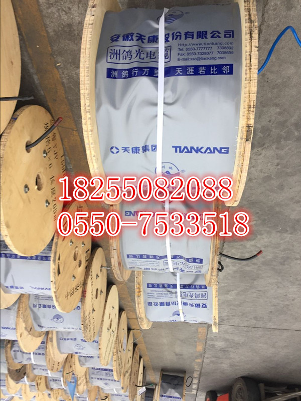 YR電纜價(jià)格，YR電纜供應(yīng)商，YR電纜【天康集團(tuán)】