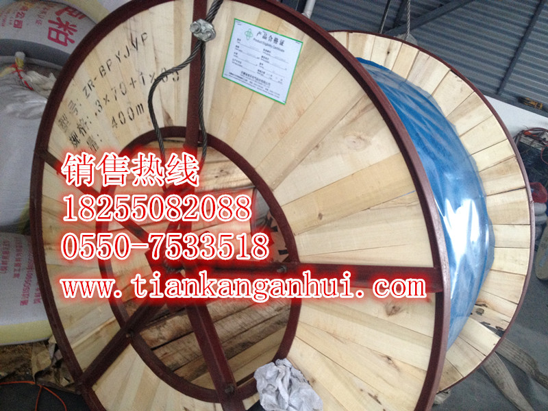 商機供應(yīng)GG 3*10  3*16硅橡膠阻燃電纜-安徽天康集團