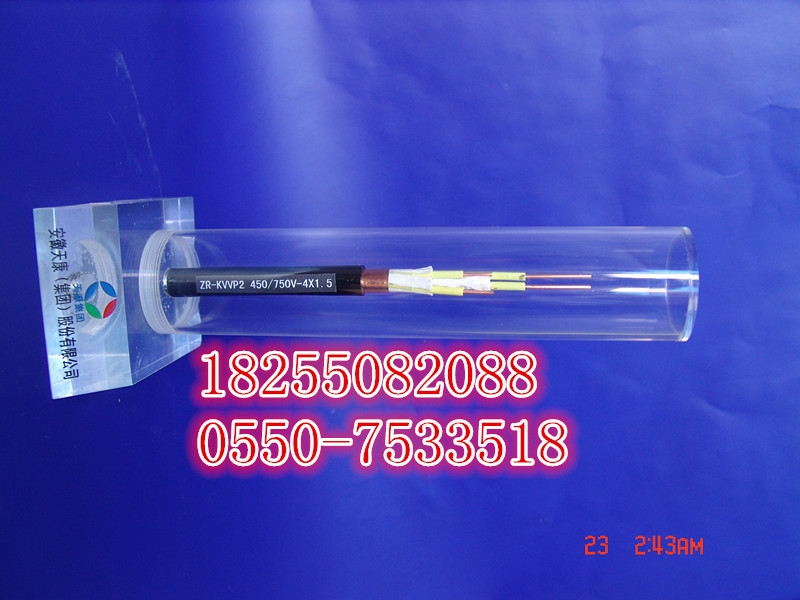 供應(yīng)YVFB6*1.0扁【電纜（安徽天康集團(tuán)）】優(yōu)質(zhì)