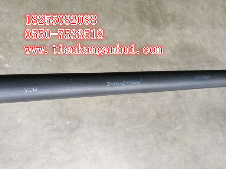BPGVFPP2電纜，BPGGPP2耐高溫硅橡膠變頻器電纜【天康集團(tuán)】