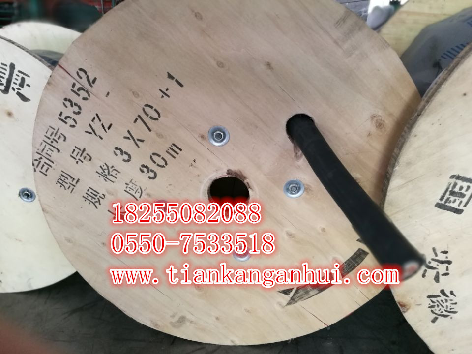 供應(yīng)DJYP2VP2,ZR-DJYP2VP2銅帶屏蔽計算機(jī)【電纜（安徽天康集團(tuán)）】-電纜廠家