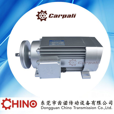 卡帕力切割電機|夾鋸片電機|高速切割馬達||高速鋸切主軸|carpali高速馬達
