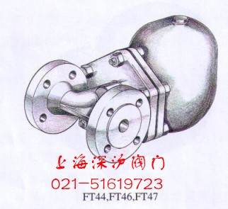 spiraxsarcoFT44ʽ˹ɳˮy˹ɳMˮy