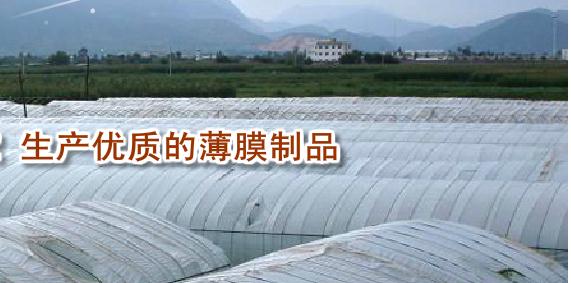 天津地膜，天津農(nóng)業(yè)地膜，天津工程膜，天津拉伸膜