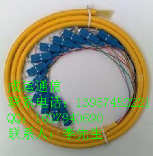 批發(fā)！SC束狀尾纖、12芯SC束狀尾纖、12芯束狀尾纖廠家！