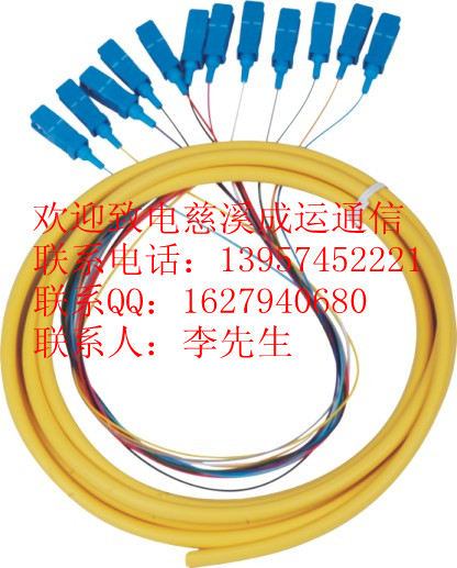 成運(yùn)批發(fā)（電信級(jí)）12芯SC芯束狀尾纖！SC束狀尾纖批發(fā)！