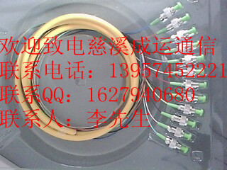 12芯FC束狀尾纖！12芯SC芯束狀尾纖！12芯束狀尾纖廠家