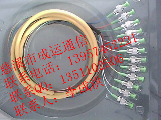 成運批發(fā)！12芯FC束狀尾纖！12芯SC束狀尾纖！12芯尾纖廠家！