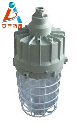 BAD61一體式防爆燈，防爆燈IIC