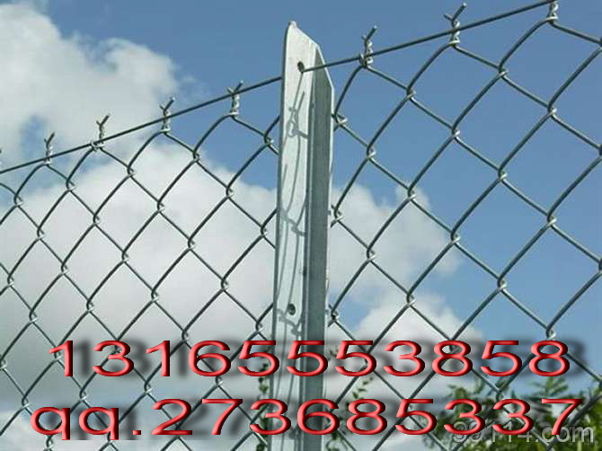 \FzW(wng)|FzW(wng)|ͿFzW(wng)|FzW(wng)Ҏ(gu)|FzW(wng)r(ji)FzW(wng)S