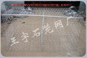 Zo(h)||ӽˉ||GW(wng)||B(ti)GW(wng)|pgW(wng)|䳲W(wng)|ʯ\W(wng)S