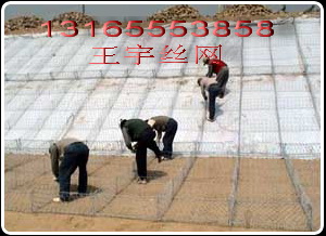 雷諾護墊圖，安平雷諾護墊，雷諾護墊價格，雷諾護墊規(guī)格，雷諾護墊護坡，雷諾護墊廠家