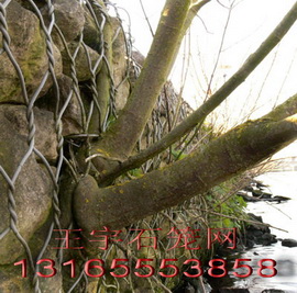 eW(wng)Seo(h)¸eW(wng)e|\eW(wng)䡾eW(wng)