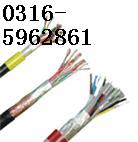 ZR-RVSP RVPS ZR-RVSP  屏蔽  電纜