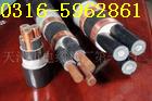 NHVV  NHVLV  系列鎧裝耐火電線電纜