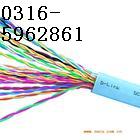 網(wǎng)商  鐵路信號  電纜  PTYA  PZYA  PTYA22