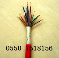 耐火計算機電纜 NH-DJGPGP，NH-DJGPGPR