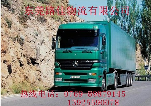 ̡Ֆ|ݸ(zhn)(zhun)|N|ݸ(zhn)(zhun)|ݸ(zhun)