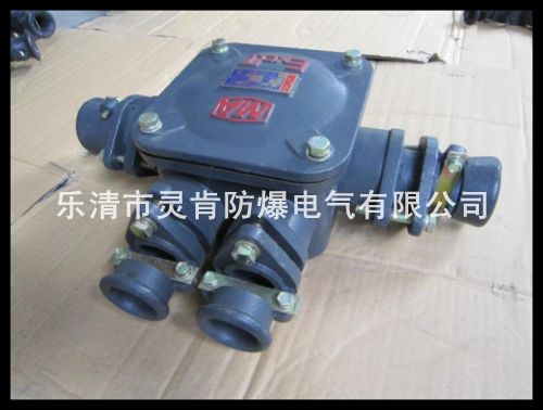 電纜接線盒，礦用接線盒，BHD2礦用接線盒，礦用隔爆型接線盒