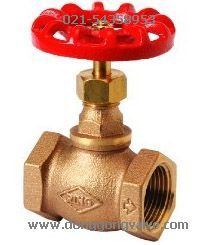 _(ti)RING| FIG.303-ڽ~y