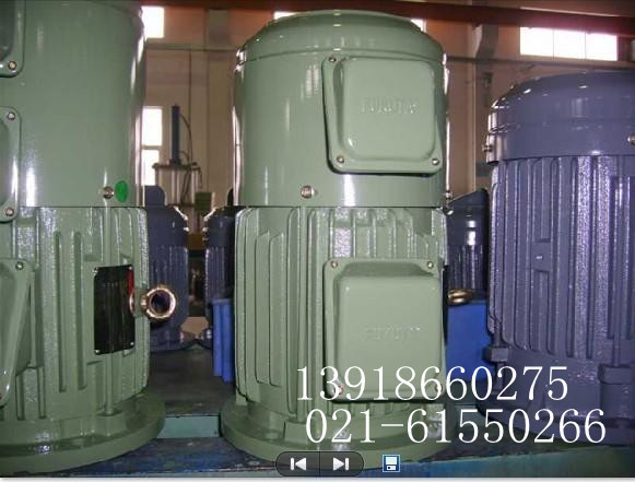 YVF2-100L1-4電機|YVF2100L1-4變頻電機、配件