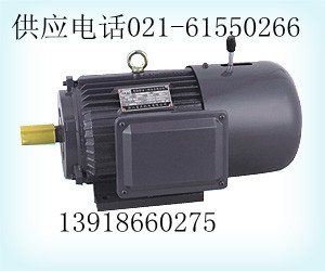 YEJ225M-4制動(dòng)電機(jī)/YEJ225M-4制動(dòng)電機(jī)、配件（圖）