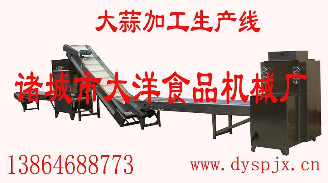 大蒜加工流水線機(jī)械（中國(guó) 山東濰坊市）-果蔬加工機(jī)械