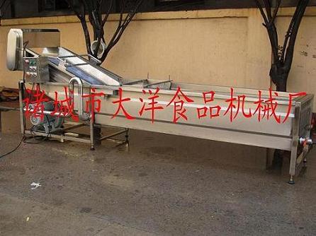 土豆清洗機、蘿卜清洗機、辣椒清洗機--大洋牌蔬菜清洗機