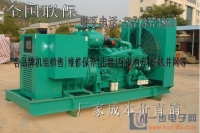 揭陽,惠來,惠東發(fā)電機組故障維修,發(fā)電機