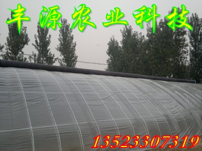 鍍鋅管養(yǎng)殖大棚支架機(jī)骨架機(jī)，蔬菜大棚支架 蔬菜大棚造價(jià) 蔬菜大棚建