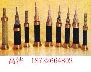 求購PZYA22，PZYAH22，電纜價格