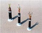船用電纜；船用電纜標(biāo)準(zhǔn)；船用電纜銷售熱線