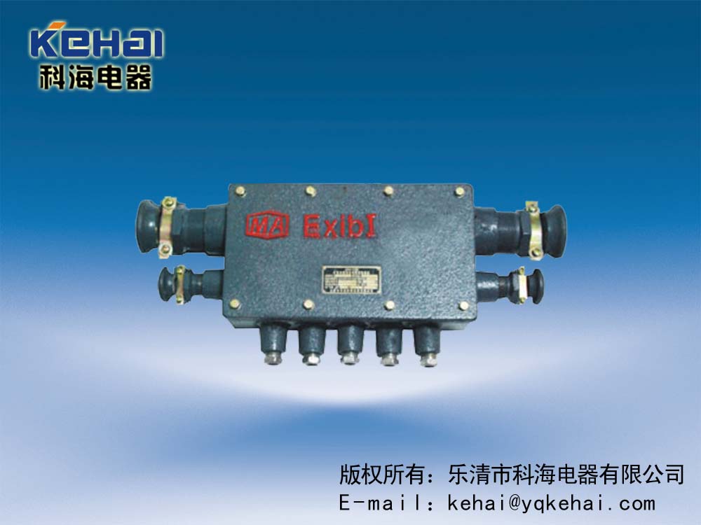 供應(yīng)本安接線盒，本安電路用接線盒  電話接線盒  通信接線盒  電纜接線盒