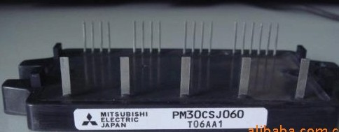 PM30CSJ060