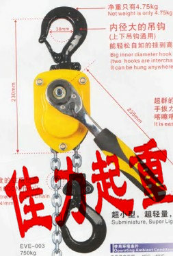 歐式手拉葫蘆，日式手拉葫蘆， 環(huán)鏈?zhǔn)职夂J，大連佳力