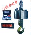 耐高溫電子吊秤，OCS電子吊秤，防爆電子吊秤，大連佳力