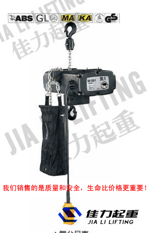 群吊電動葫蘆，群吊電動葫蘆價格，大連佳力銷售