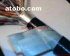 朗格品牌通訊電纜市內(nèi)電話電纜室外大對(duì)數(shù)HYA 100*2*0.5 純銅材質(zhì)