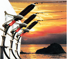 山東泰山架空導(dǎo)線1*185